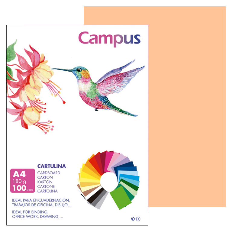 CARTULINA CAMPUS A4 210X297 MM 180 GRAMOS COLOR CARNE